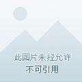 你家六宝抄家了大结局