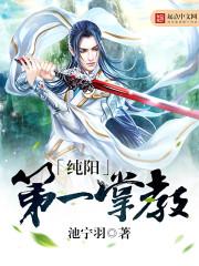 纯阳入门
