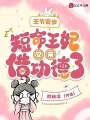 王妃又离家出走了