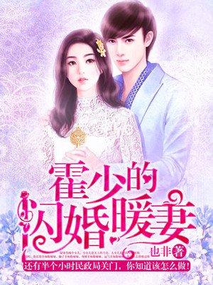 霍少的闪婚暖婚免费阅读