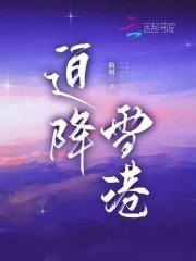 迫降雪港最新免费阅读