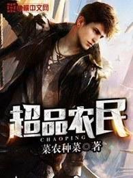 超品农民TXT