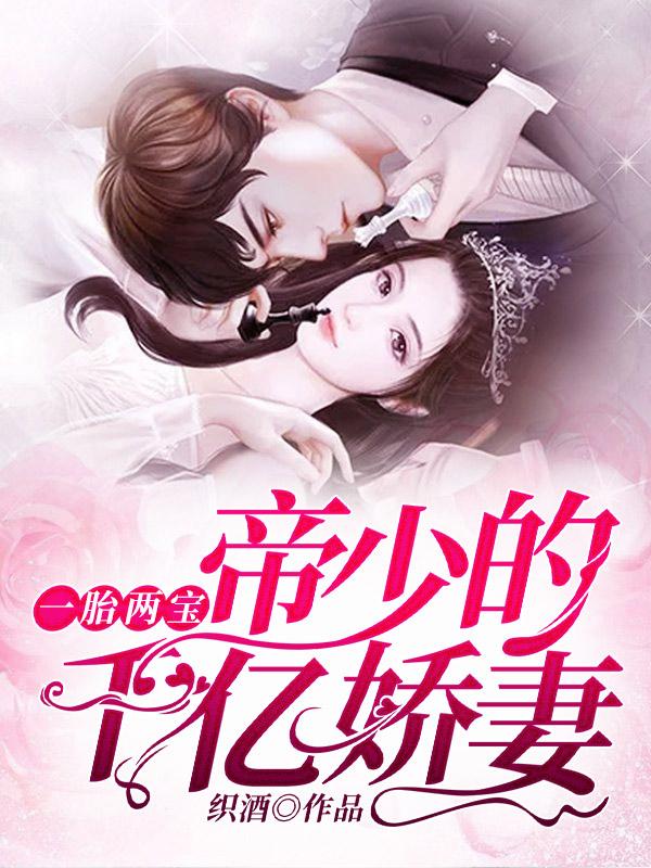 一胎二宝帝少的千亿妎妻